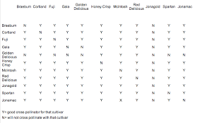 28 Paradigmatic Fruit Tree Pollinators Chart