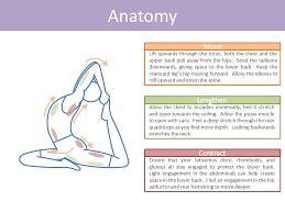 One Legged King Pigeon Eka Pada Rajakapotasana Pigeon Pose Yoga Yoga Asanas Beginner Yoga Workout