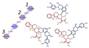 Image result for Corynanthe