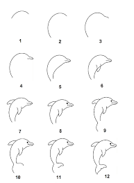 Cara menggambar hewan dari huruf. Tips Dan Trik Tutorial Menggambar Ilustrasi Hewan Untuk Pemula