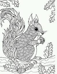 Free coloring sheets to print and download. Art Therapy Coloring Book Squirrel Coloring Page School Art Supplies