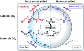 Where to place co alarms in your home. Accelerated Reactions Of Amines With Carbon Dioxide Driven By Superacid At The Microdroplet Interface Chemical Science Rsc Publishing