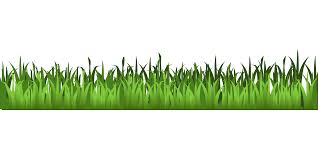Meadow Green Grass Clipart Isolated Stock Photo By Nobacks Cliparting Com Noback transparent png images, all these png images are transparent with no background, free & unlimited downloads.