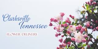 Maybe you would like to learn more about one of these? 8 Picks For Best Flower Delivery In Clarksville Tn 2021