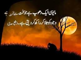 Beautiful Urdu Quotes Picture Quotes Beautiful Islamic Quotes In Urdu Images Youtube Zubair khan afridi diary free famous urdu novel's free online reading and free download.