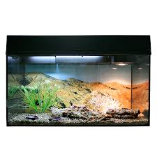 Lucky Reptile Starter Kit Leopard Gecko Ceres Webshop