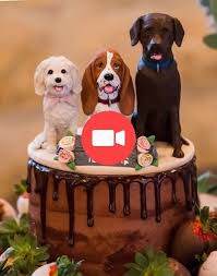 Personnalise Mariage Toppers Gateau Chien Chiens Chat Chats Gens Les Animaux De Compagnie Gateauxde Dog Cake Topper Wedding Wedding Cakes Dog Dog Cake Topper