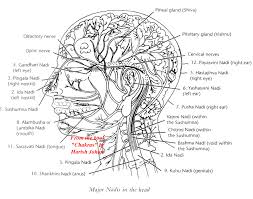 The Nadis And Planetary Healing Sephera Light