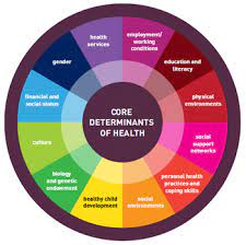 If people consider the numerous dangers to their health that smoking can cause, they may think twice about. What Are The Determinants Of Health Colleaga