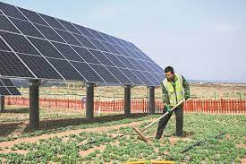Eco-friendly mining helps drive environmental cleanup - Chinadaily.com.cn