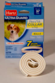 Rashes on body with red marks on body. Seresto Pet Collars Under Epa Review But The Fight Over Their Safety Could Take Years Investigate Midwestinvestigate Midwest