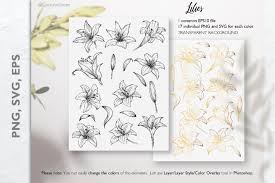 Download Lily Line Art Svg Lilies Svg Outline 1363080 Illustrations Design Bundles