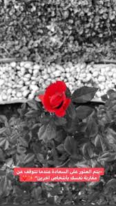 Arab swag dubai fashionista dps for girls beautiful perfume. 120 Rose Ideas In 2021 Rose Hair Braid Videos Sky Photography Nature