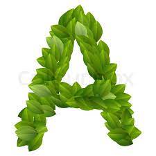 Leave a reply cancel reply. Letter A Of Green Leaves Alphabet Stock Vector Colourbox