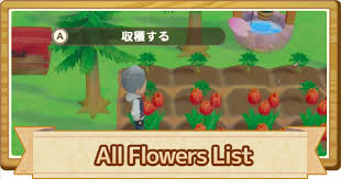 Those are all choices to make the game unique. All Flowers List Price How To Get Story Of Seasons Pioneers Of Olive Town
