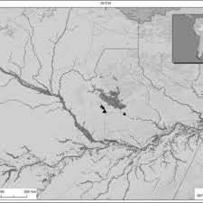 Image result for Dissotis pachytricha