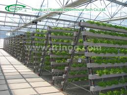 Nutrient film technique involves having a constant thin stream of water flowing over the root system of the plants. Advanced Hydroponics Grow System Nft Photo Details About Advanced Hydroponics Grow System Nft Picture Trinog Xs Xiam Hidroponia Nft Aquaponia Hidroponia