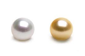 Golden South Sea Pearl Information Pearl Paradise