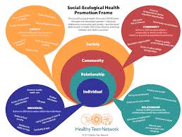 Pin On Public Health Social Work Nerd