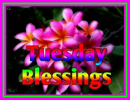 Tuesday blessings Pic - DesiComments.com