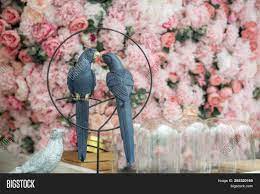 Check spelling or type a new query. Couple Love Birds Image Photo Free Trial Bigstock