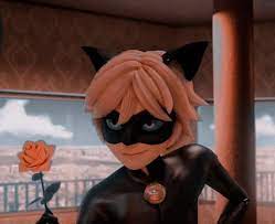 Chat Noir Rosa Amarilla Miraculous Ladybug Anime Miraculous Ladybug Funny Miraculous Characters