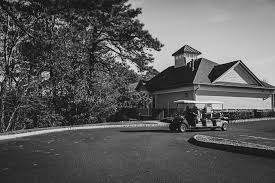 Tuxedo Panda (@thetuxedopanda) • Instagram photos and videos