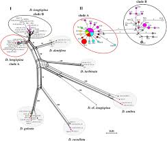I feel i have the necessary _ and _ to make a positive and enthusiastic contribution to your _ and i hope you will. Unexpected Endemism In The Daphnia Longispina Complex Crustacea Cladocera In Southern Siberia