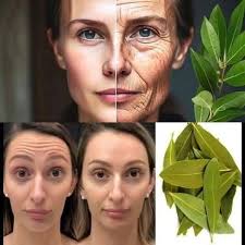 Bay leaf removes wrinkles and fine lines