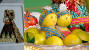 Nikkah Fruit Basket Decoration For Engagement