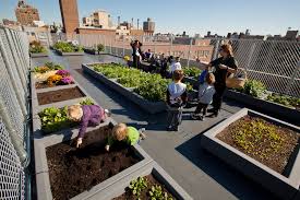 True master gardeners with both formal training and several years of garden practice. Schools Add In House Farms As Teaching Tools In New York City The New York Times