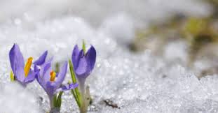 Ces 15 quartiers ont vu le jour en 2013 après que la ville décida d'affiner le découpage des quartiers, qui comportait au départ 10 quartiers calqués sur les cantons de la ville, formant des regroupements de plusieurs véritables quartiers. Fedmrypsauuaom