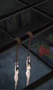 Hibiki on X: 二次元画像 二次エロ 二次元エロ画像 拘束 全裸 縄 両手吊り  t.co4deboAtVhQ  X