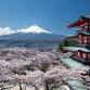 Customs and Cultures of Japan