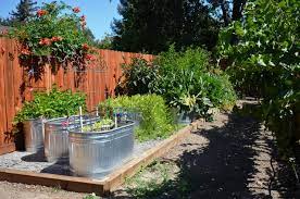 Maybe you would like to learn more about one of these? How To Turn A Stock Tank Into A Planter For Edibles And More