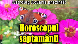Forţa care îţi conduce viaţa, în funcţie de tipul de personalitate. Horoscop Acvaria Horoscopul Saptamanii 12 18 Octombrie 2020
