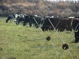 Get the best deal for electric fence from the largest online selection at ebay.com.au browse our daily deals for even more savings! Cattle Fencefast Ltd