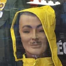 Robert Everett-Green's Profile