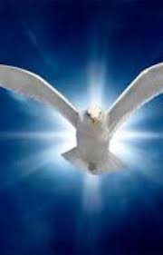 Removing Curse Spell Call Whatsapp 27843769238 Witch Doctor Call Whatsapp 27843769238untitled Part 1 African Love Witch Doctor Curse Spells