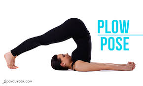How To Do Plow Pose Plow Pose Yoga Yoga Relief Yoga Benefits