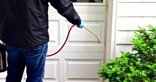 Have bed bugs been driving you insane? 1 Pest Control Houston Tx Nature S Own Pest Control