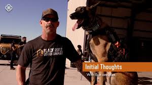 Erin and Call of Duty Rex's First Thoughts