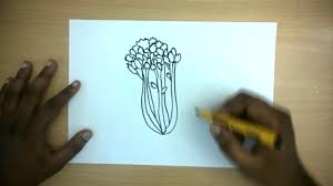 How To Draw A Celery Easy Step By Step Drawing For Kids Youtube You will have opportunities to test the effects of salt solutions on and you'll prepare celery sticks just like isabel did and observe how they respond when placed in. how to draw a celery easy step by step drawing for kids