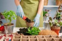 Lihatlah lahan kosong di sekitar rumah anda. Ide Kreatif Membuat Kebun Sayur Mini Di Kebun Belakang Rumah Propertinews Id No 1 Portal Properti In Indonesia