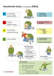 Reanimatie en defibrillatie van een volwassene. Reanimatie Baby 0 12 Maanden Reanimatie Verpleegkunde Student Tips Overlevingsvaardigheden