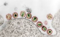 Einige beliebte urlaubsländer gelten mittlerweile als hochrisikogebiete. Rki Coronavirus Sars Cov 2 Informationen Zur Ausweisung Internationaler Risikogebiete Durch Das Auswartige Amt Bmg Und Bmi