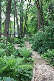 Shade Loving Plants For The Woodland Garden Shade Garden Design Shade Garden Plants Woodland Garden