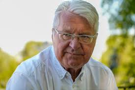 Fabian Stang, Politikk