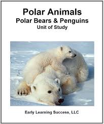 Polar Bears Live In The Arctic Near The North Pole Pin On Curriculum Units Activities