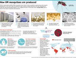 Pin On The Straits Times Graphics